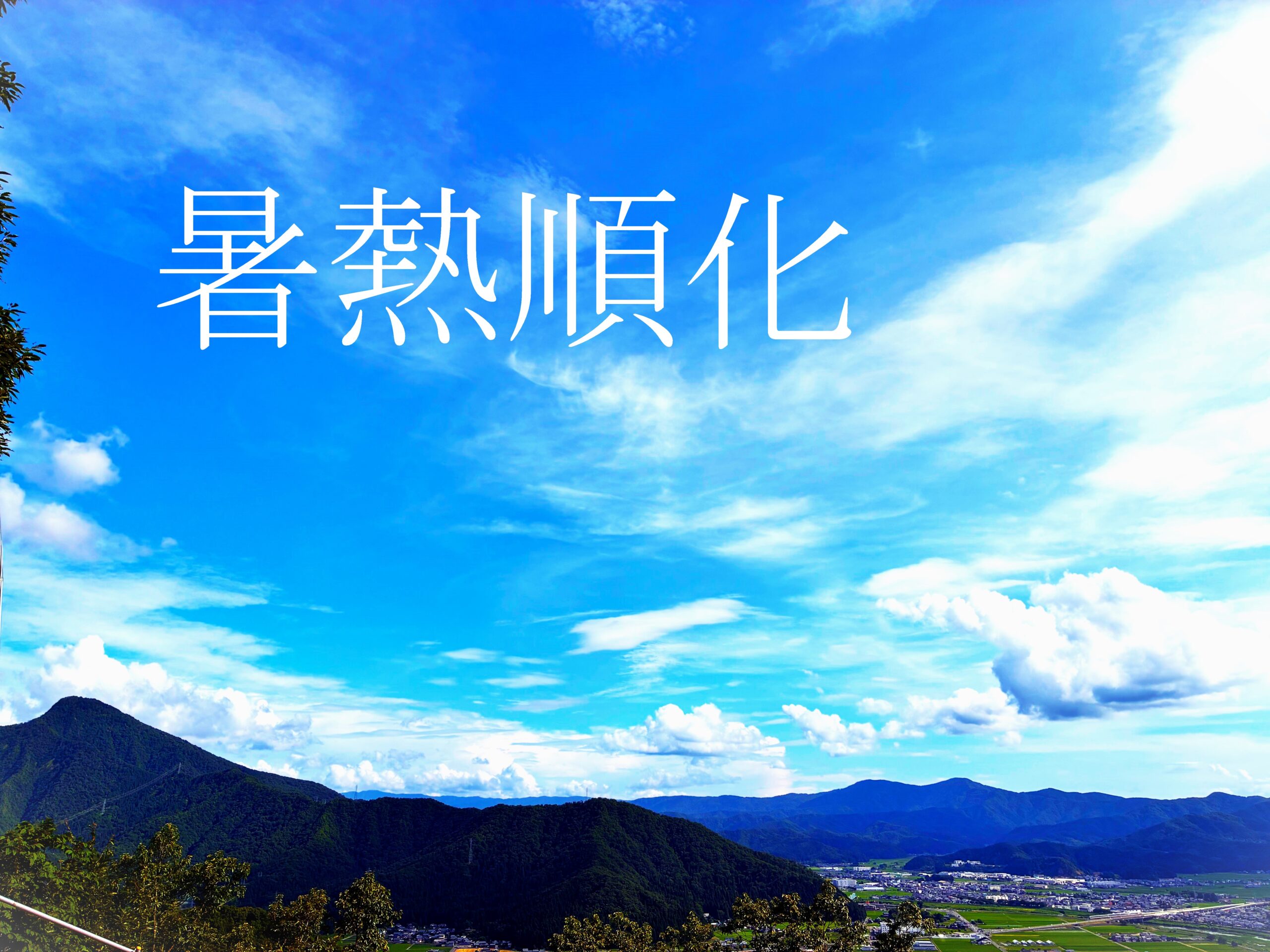暑熱順化 ~慣れって大事~ - 安⼼な電源設備をあなたのもとへ - 東亜電機⼯業グループ